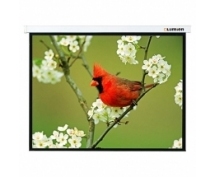 Экран настенный 171x128см Lumien Master Picture, MW, 4:3 [LMP-100108]